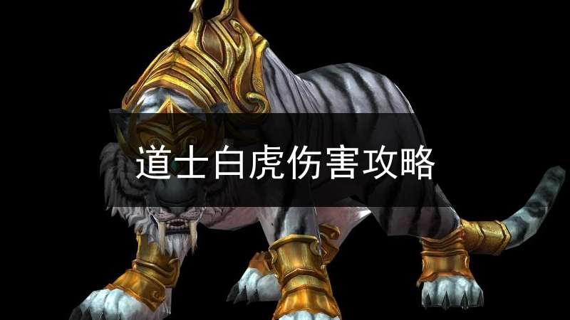 道士白虎伤害攻略